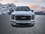 2022 F-150 Thumbnail 3