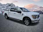 2022 F-150 Thumbnail 4