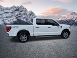 2022 F-150 Thumbnail 5
