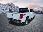 2022 F-150 Thumbnail 6