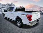 2022 F-150 Thumbnail 8