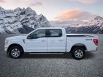 2022 F-150 Thumbnail 9