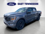 2022 F-150 Thumbnail 7