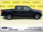 2022 F-150 Thumbnail 10