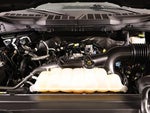 2022 F-150 Thumbnail 20