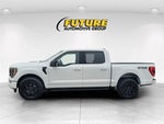 2022 F-150 Thumbnail 6