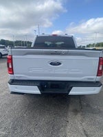 2022 F-150 Thumbnail 7