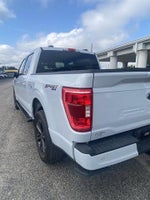 2022 F-150 Thumbnail 8