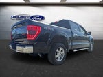 2022 F-150 Thumbnail 5