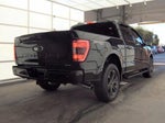2023 F-150 Thumbnail 4