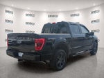 2023 F-150 Thumbnail 7