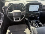 2023 F-150 Thumbnail 12