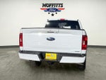 2023 F-150 Thumbnail 4