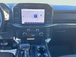 2023 F-150 Thumbnail 10