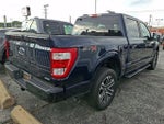2023 F-150 Thumbnail 4
