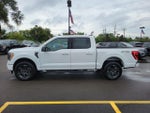 2023 F-150 Thumbnail 4