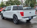 2023 F-150 Thumbnail 5