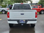 2023 F-150 Thumbnail 6