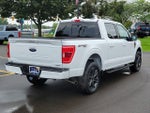 2023 F-150 Thumbnail 7