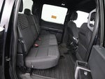 2023 F-150 Thumbnail 6