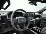 2023 F-150 Thumbnail 12