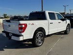 2023 F-150 Thumbnail 8
