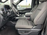 2023 F-150 Thumbnail 7