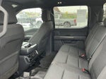 2023 F-150 Thumbnail 10