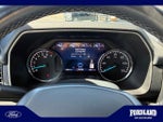 2023 F-150 Thumbnail 11