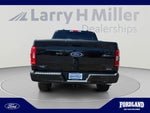 2023 F-150 Thumbnail 4