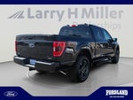2023 F-150 Thumbnail 5