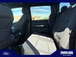 2023 F-150 Thumbnail 17