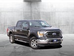 2023 F-150 Thumbnail 2