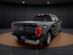 2023 F-150 Thumbnail 6