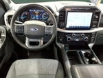2023 F-150 Thumbnail 7