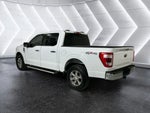 2023 F-150 Thumbnail 6