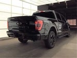 2023 F-150 Thumbnail 3