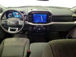 2023 F-150 Thumbnail 9