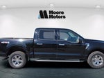 2023 F-150 Thumbnail 2