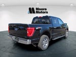 2023 F-150 Thumbnail 3