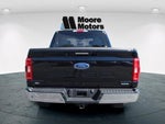 2023 F-150 Thumbnail 4