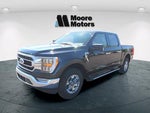 2023 F-150 Thumbnail 7