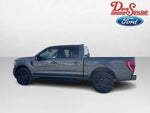 2023 F-150 Thumbnail 10
