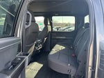2023 F-150 Thumbnail 12