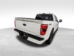 2023 F-150 Thumbnail 12