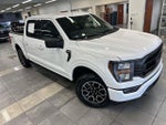2023 F-150 Thumbnail 12