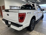 2023 F-150 Thumbnail 14