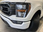 2023 F-150 Thumbnail 19