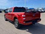 2023 F-150 Thumbnail 4