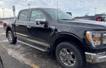 2023 F-150 Thumbnail 4